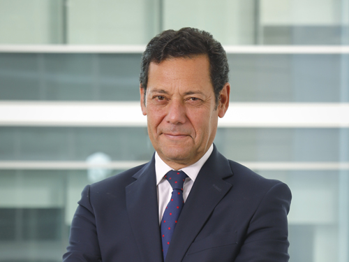 El componente ad valorem no es bueno para el desarrollo de la industria y es mejor evitarlo