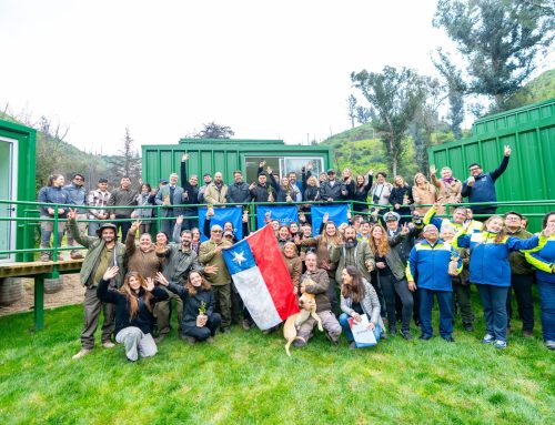 Ministerio de Agricultura, Consejo Minero y Desafío Levantemos Chile concluyeron reconstrucción del Jardín Botánico de Viña del Mar