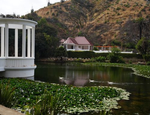 Consejo Minero y Desafío Levantemos Chile fueron reconocidos con premio Eikon por reconstrucción del Jardín Botánico de Viña del Mar