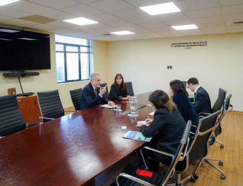 El Consejo Minero se reunió con la Subsecretaria de Relaciones Económicas Internacionales