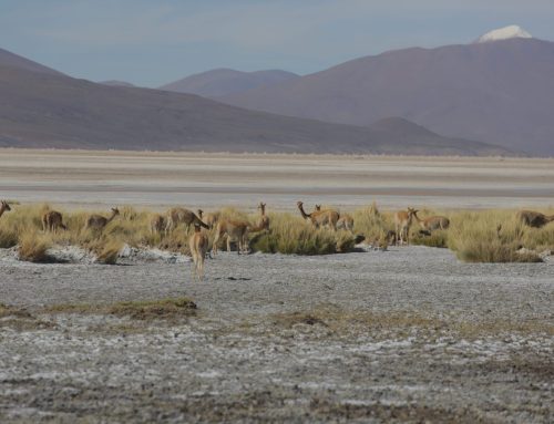 CM se reunió con el Director Ejecutivo del Servicio de Evaluación Ambiental (SEA), Arturo Farías.