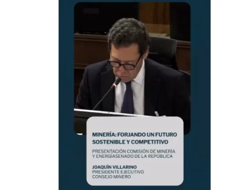 CM expone ante la Comisión de Minería y Energía del Senado sobre oportunidades y desafíos para fortalecer la competitividad del sector